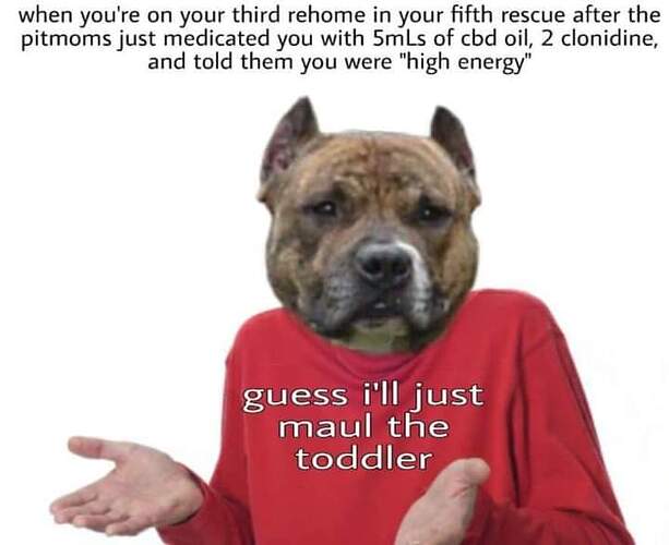 FB_IMG_1709933890466