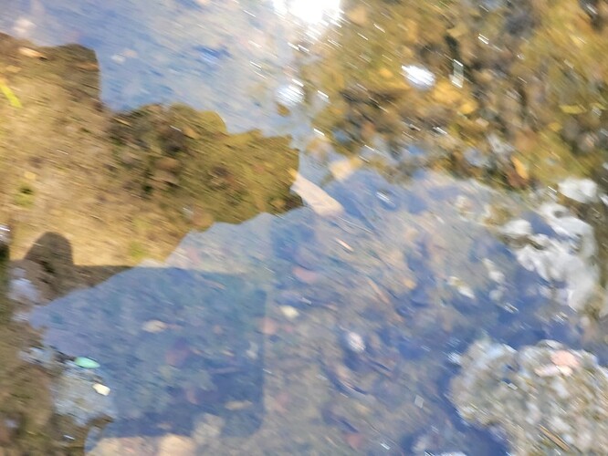 20240823_130225