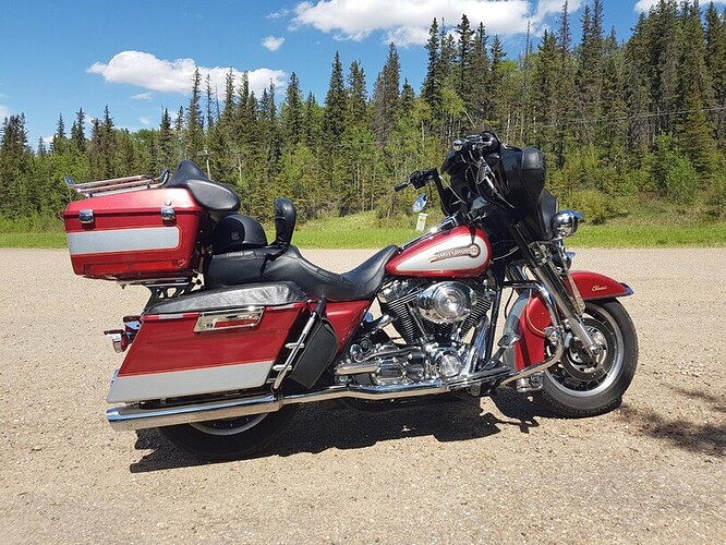 hog 2019