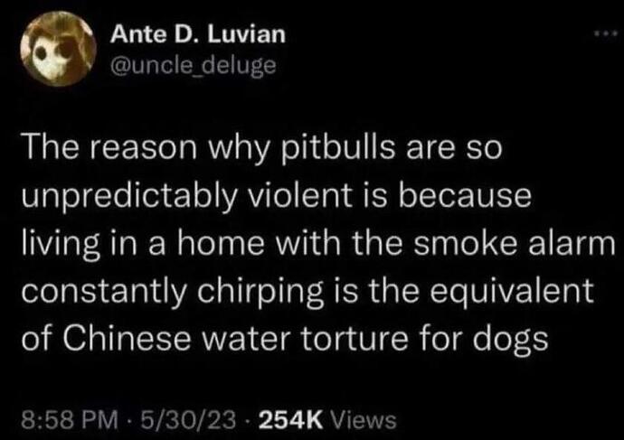 pitbull 463079367_1052568393280548_5969175164101574507_n