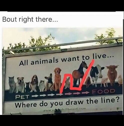 1000006742