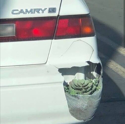 bumper planter