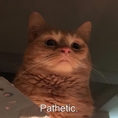 17471125137588534559969705103435
