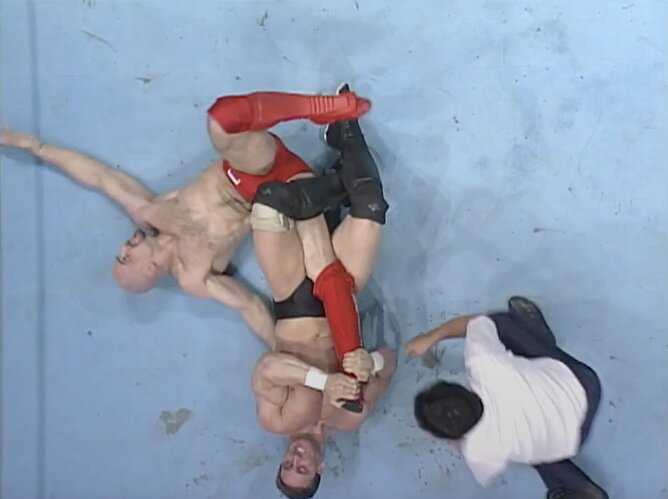 17565914182696425020072961069463