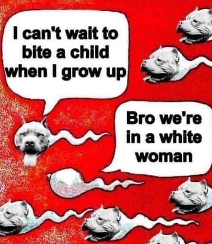 1000019019