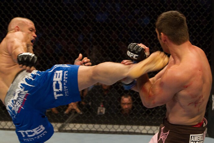 ufc115_11_franklin_vs_liddell_020