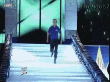 wwe-ref