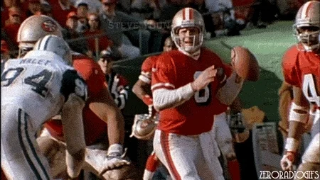 San Francisco 49Ers Football GIF