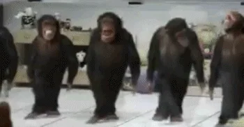 party dancing GIF