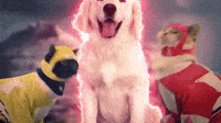 200w.gif ?cid=82a1493bon24g1tab8m0zr9zl8bt23s4qccbku0rgsmrstut&ep=v1_gifs_related&rid=200w. gif&ct=g
