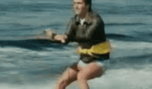 Jump The Shark Gif GIFs | Tenor